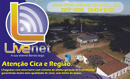 live cica.jpg