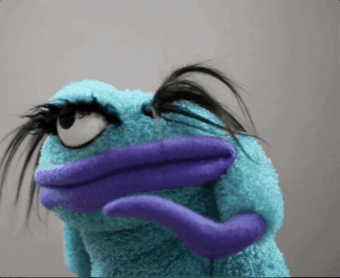 "Monster What" Furry Puppet Studio