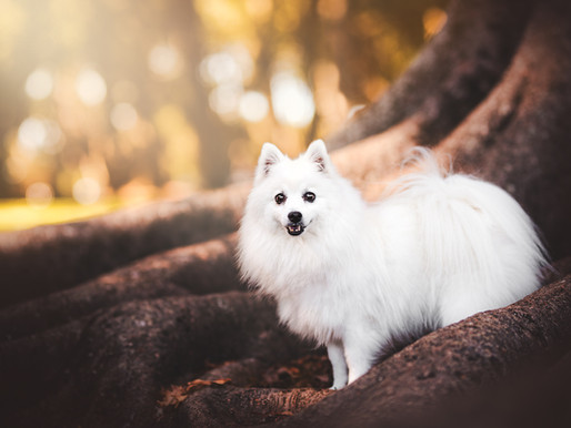 Bella's Story & Photoshoot