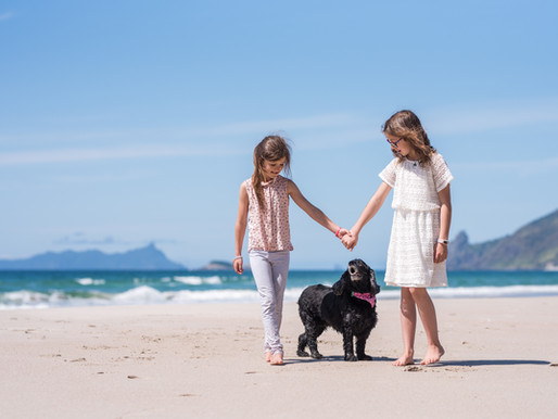 a pet photographer's purpose