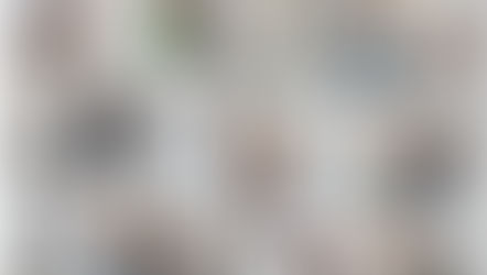 Jong talent start eigen bedrijf met ZomerOndernemer