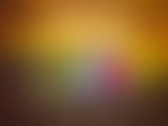 Making the Most Out of Your Family Photoshoot in Calgary!