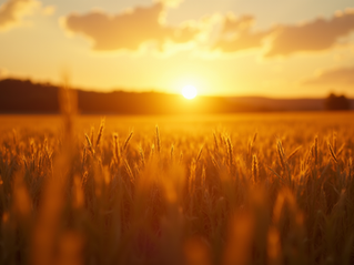Why Golden Hour is Perfect for Maternity Photography