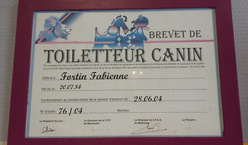 Salon de toilettage Pile au Poil à Vire