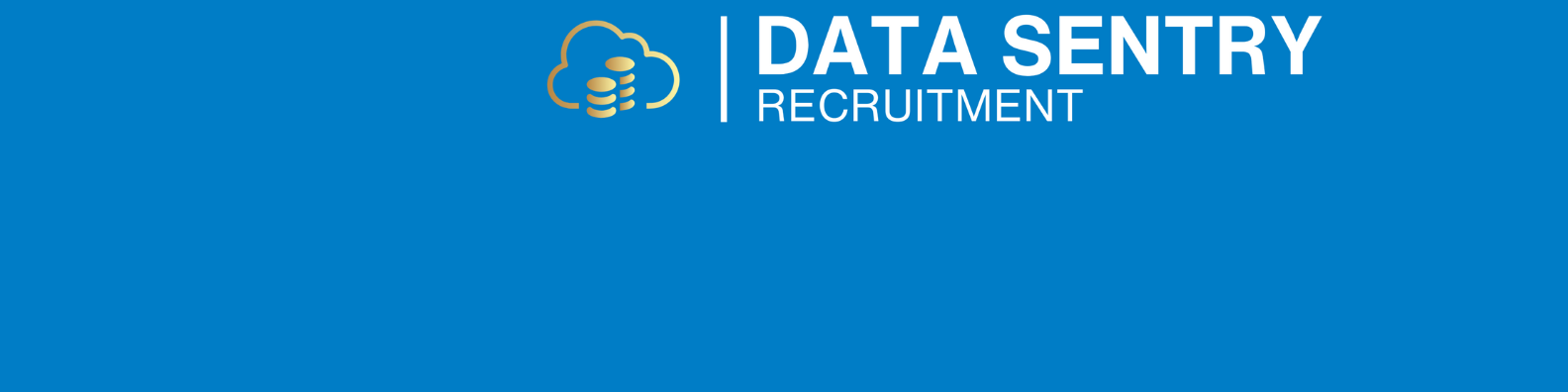 Data Sentry Recruitment branding