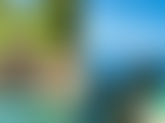 Why Bali Is the Perfect Place for a Mental Health & Recovery Retreat ?