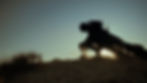 In Dust