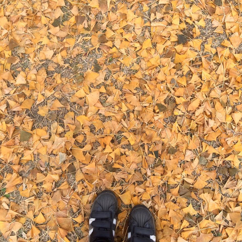Autumn