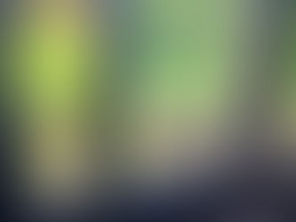 お隣さんからこんにちは