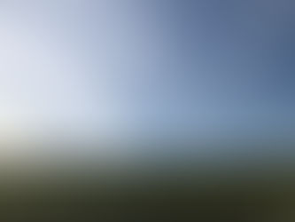 ばらの花とネイティブダンサー