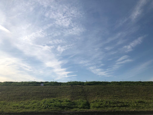 ばらの花とネイティブダンサー