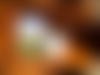 映画『土を喰らう十二カ月』を観ました!