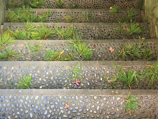 庭師さんに感謝