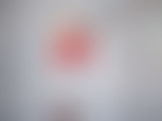 思い出の味 原田曜平さん