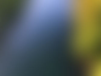 川面を覗き、コツコツ。