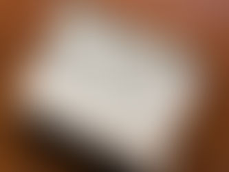 雪こんことS.Carey