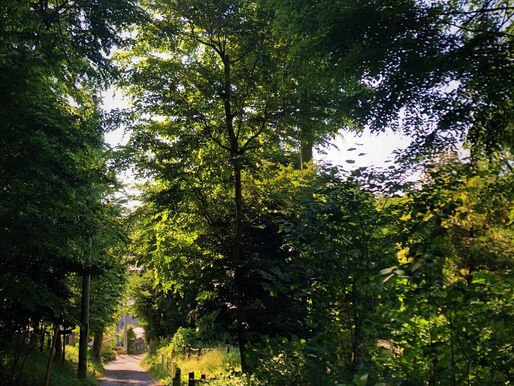 6月の光を浴びたら