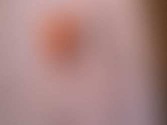 思い出の味 真飛 聖さん