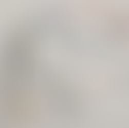 honda ruckus fuel gauge