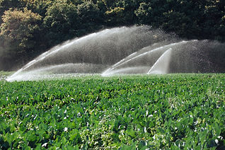 Sustainable Water Access