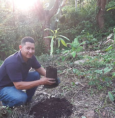 low carbon economy supporter in Nicaragua