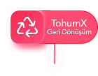 Tesis.png