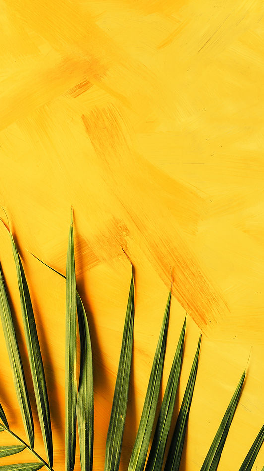 brooke-lark-7rIsBSxhiXM-unsplash-edit2 copy_edited_edited.jpg