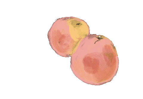 IMG_0855.GIF