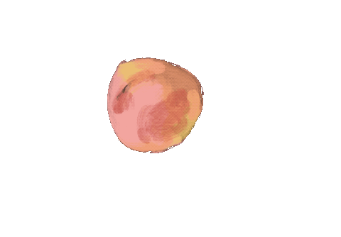 IMG_0851.GIF