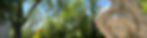 dd2101_125e74031e4048deb2dc9d0b3743cdbd~mv2.jpg.avif