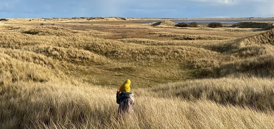 Heather banks overlooking country fields