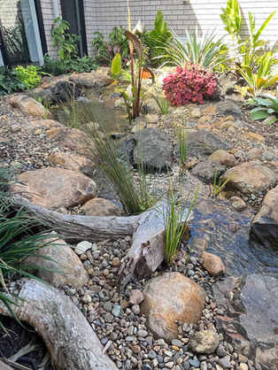 Small Backyard Ponds