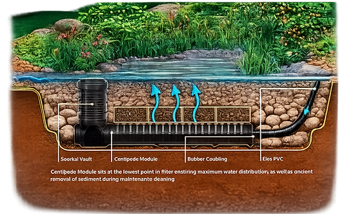 wetland filter crosssection