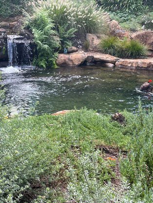 Compact Recreation Ponds