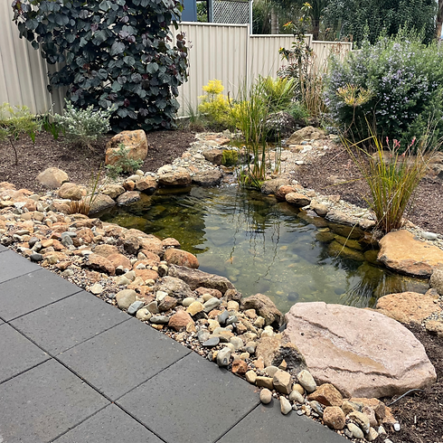 Ecosystem Pond