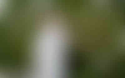 “Actor in a tailored white suit waving on a Golden Globes red carpet, standing in front of a lush green floral wall with the awards logo.”