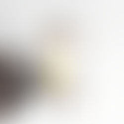 The NY–LA–London Fashion Connection: Spring 2026 Edition