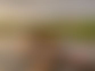 Let’s Get Lost selects Lamp as new charity partner