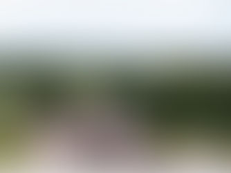 Ex-Tigers players face Nevill Holt Cricket Club Sponsors in charity match and picnic event