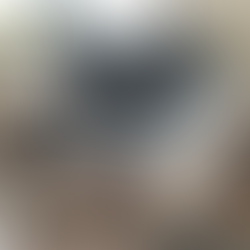 cozy chair reading area in living room