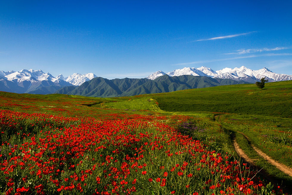 Chüy Valley