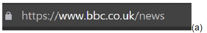 The importance of checking the web address: