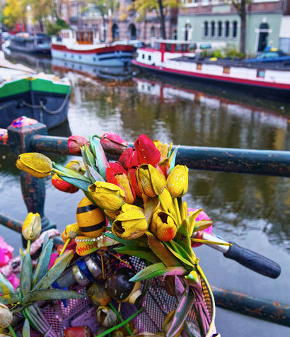 An Amsterdam Collection_Roy Keast.jpg