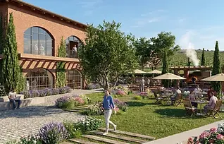 New Wine Center - Bodegas Torres