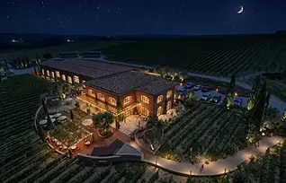 New Wine Center - Bodegas Torres