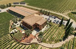New Wine Center - Bodegas Torres