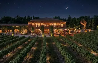 New Wine Center - Bodegas Torres