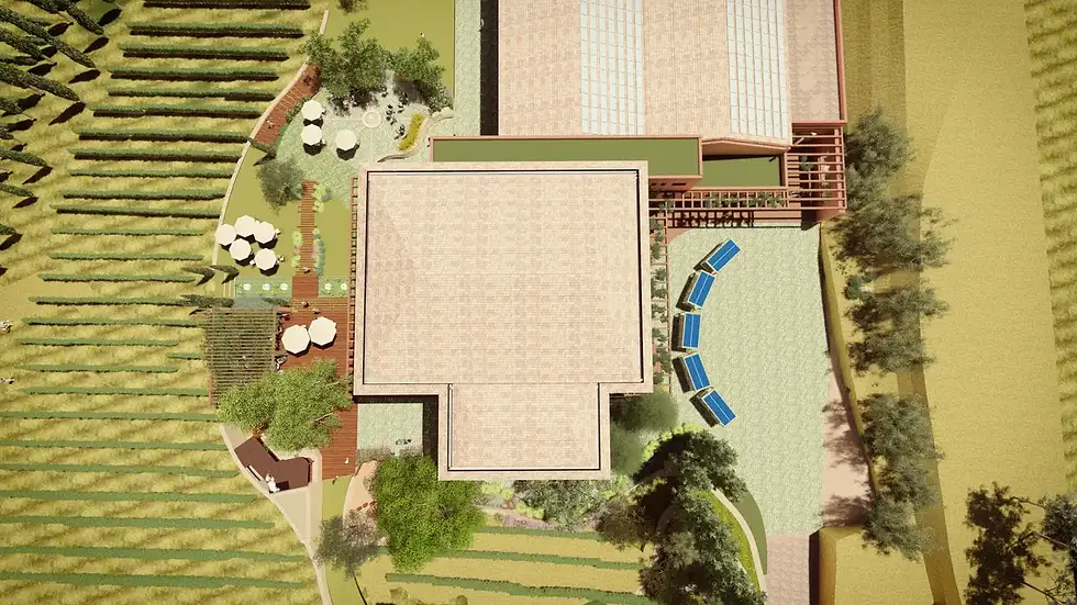 New  Wine Center - Bodegas Torres