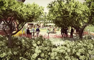 New  Wine Center - Bodegas Torres