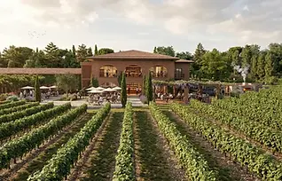 New Wine Center - Bodegas Torres